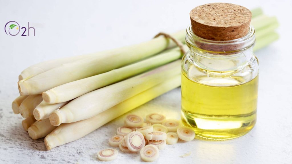 7 Kebaikan dari Lemongrass Essential Oil yang Perlu Kamu Ketahui