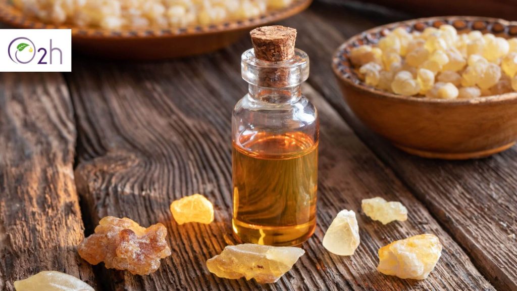 Kebaikan Frankincense Essential Oil untuk Relaksasi dan Tubuh