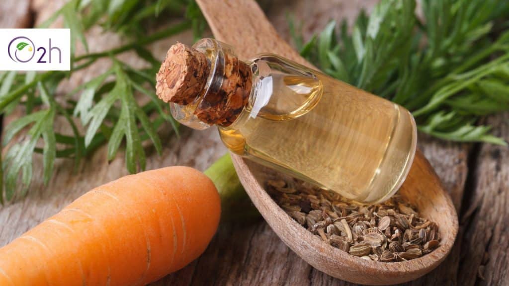 carrot seed essential oil